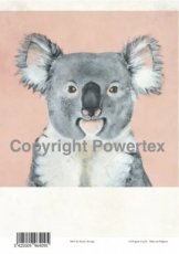 A4 powerprint koala A4 powerprint koala