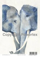 A4 powerprint papier blauwe olifanten A4 powerprint papier blauwe olifanten