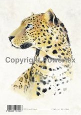 A4 powerprint papier leopard